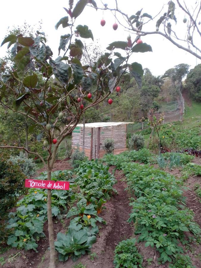 Jardin Colibri Rnt 33633 Villa Guatavita ภายนอก รูปภาพ
