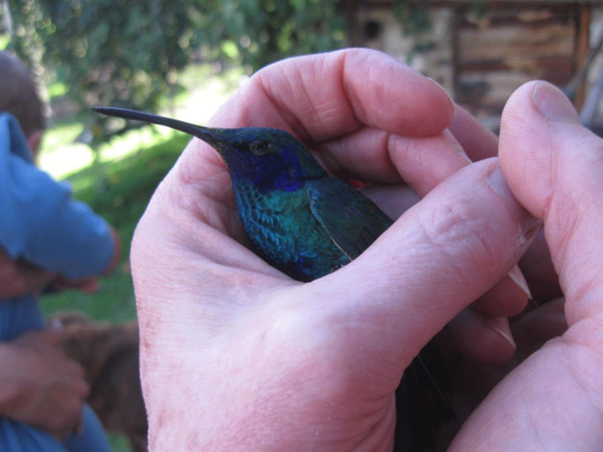 Jardin Colibri Rnt 33633 Villa Guatavita ห้อง รูปภาพ