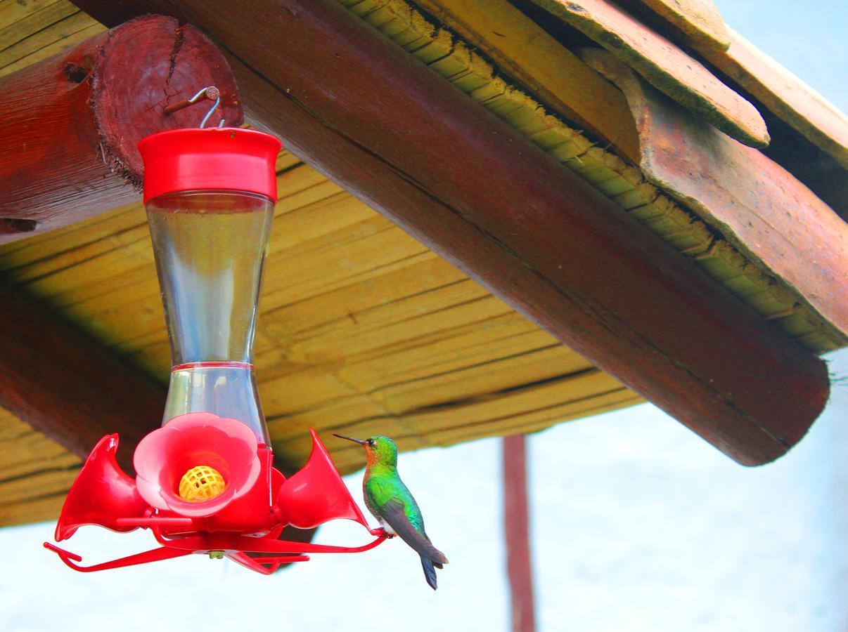 Jardin Colibri Rnt 33633 Villa Guatavita ภายนอก รูปภาพ
