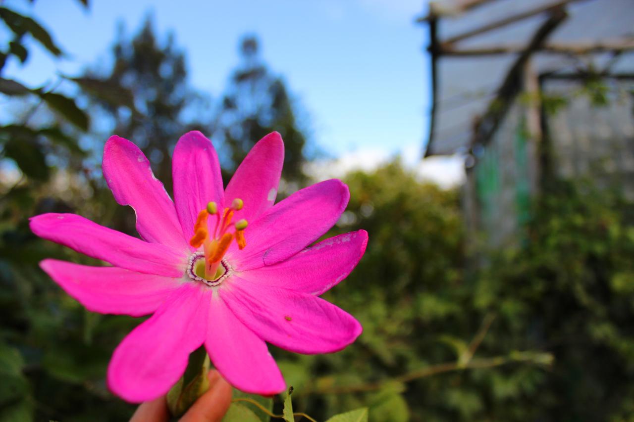 Jardin Colibri Rnt 33633 Villa Guatavita ภายนอก รูปภาพ