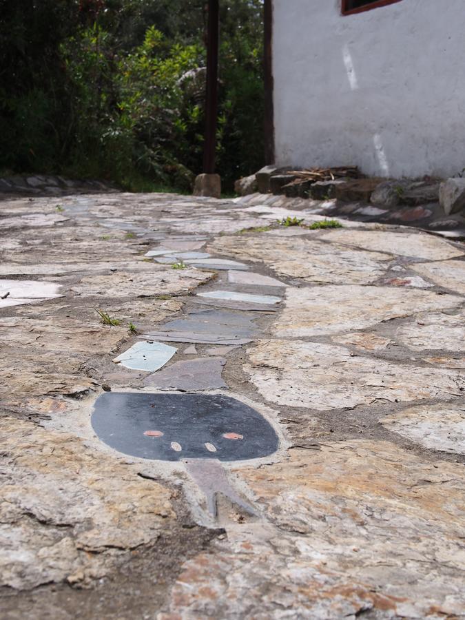 Jardin Colibri Rnt 33633 Villa Guatavita ภายนอก รูปภาพ